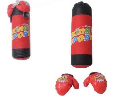 Boxing Bag with Gloves