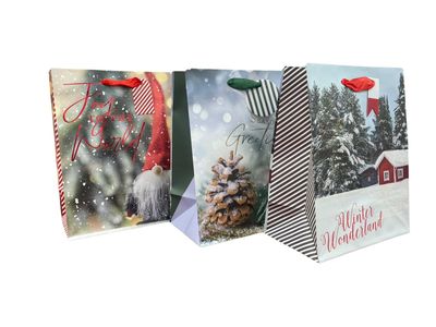 Christmas Gift Bag - Photo (Medium)