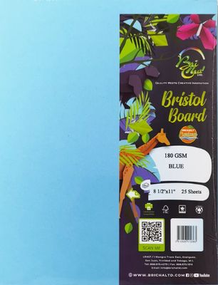 Bristol Board (25 Pastel Sheets)