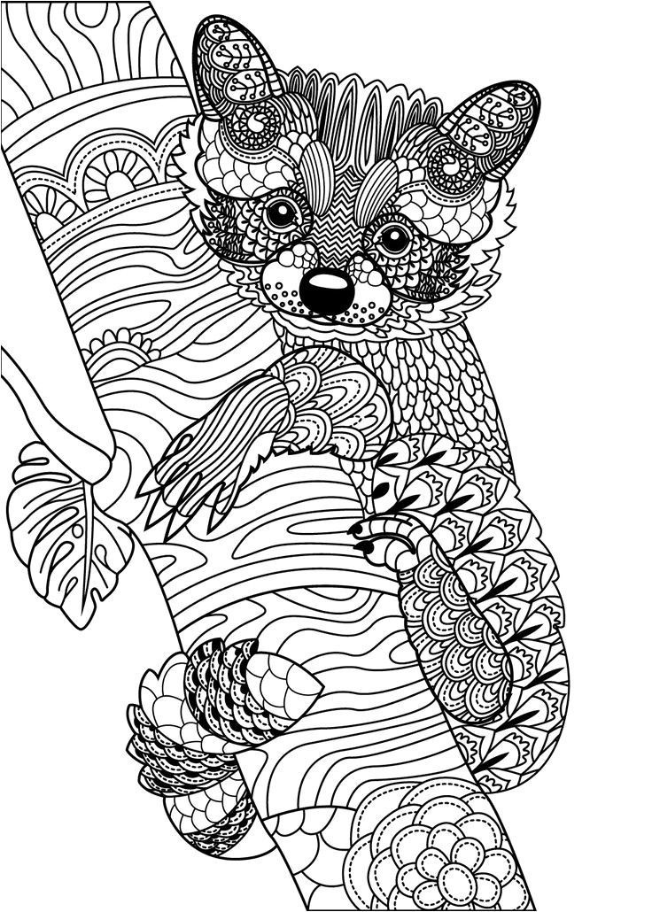 Creative Pattern Colouring Book