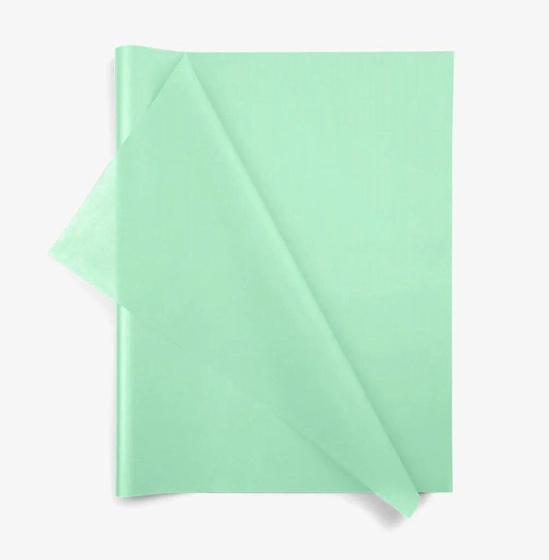 Pearlized Mint Green Cover - 8 1/2" X 11"