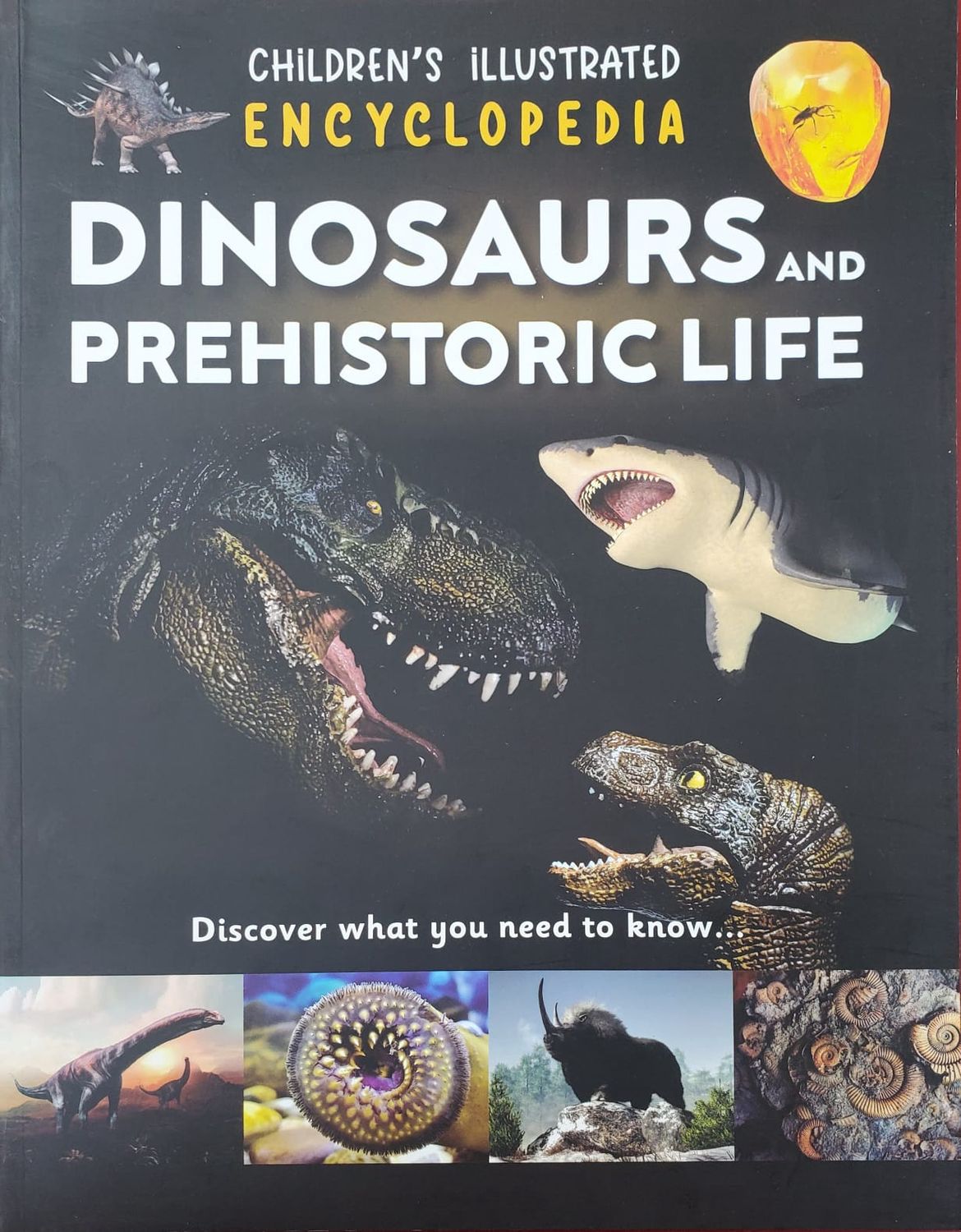 Children's Illustrated Encyclopedia- Dinosaurs and Prehistoric Life Children's Illustrated Encyclopedia- Dinosaurs and Prehistoric Life