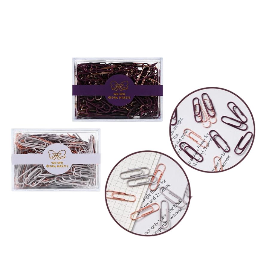 Paper Clips in Clear Case Paper Clips in Clear Case