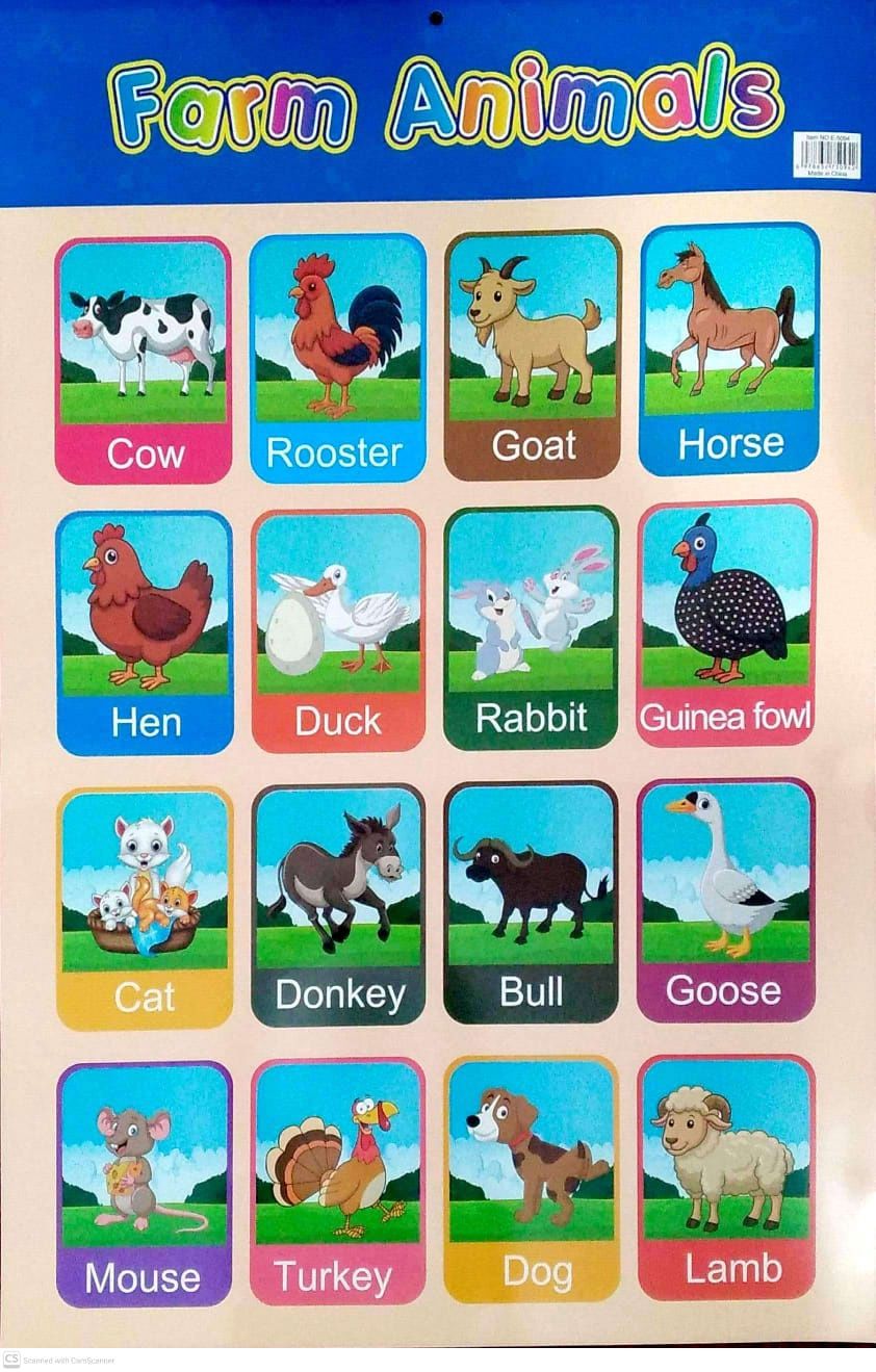 Chart- Farm Animals Chart- Farm Animals