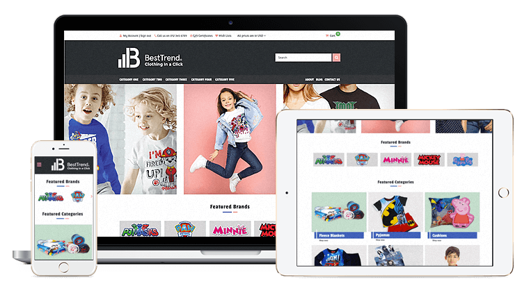 Small eCommerce Business Website (up to 100 items)
