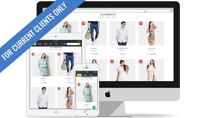 Large eCommerce Business Website (No Up Front Fees)