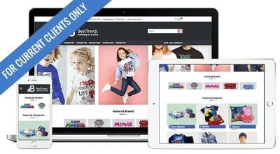 Small eCommerce Business Website (No Up Front Fees)