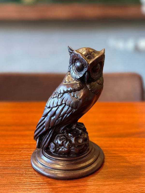 Resin Owl standing on the rock