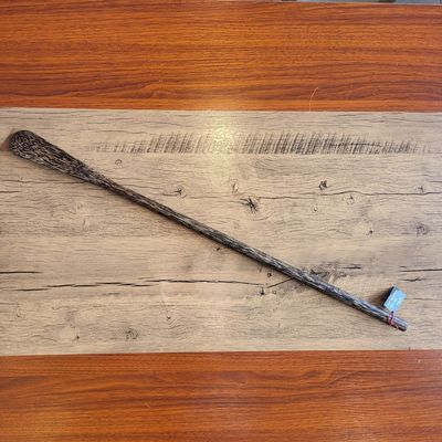 Long shoe horn