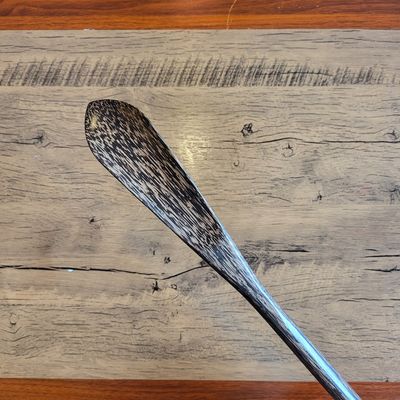 Long shoe horn