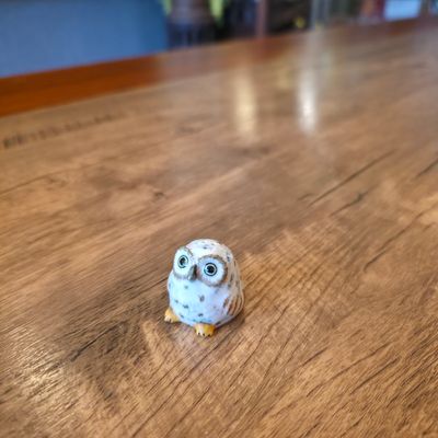 Salt and Pepper Shakers - White Owls