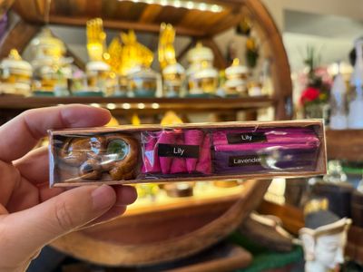 Scented Incense Sticks/Cones Gift Pack (B)
