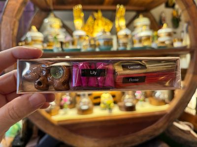Scented Incense Sticks/Cones Gift Pack (N)