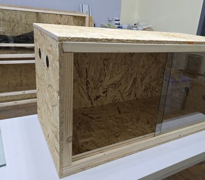 ტერარიუმები