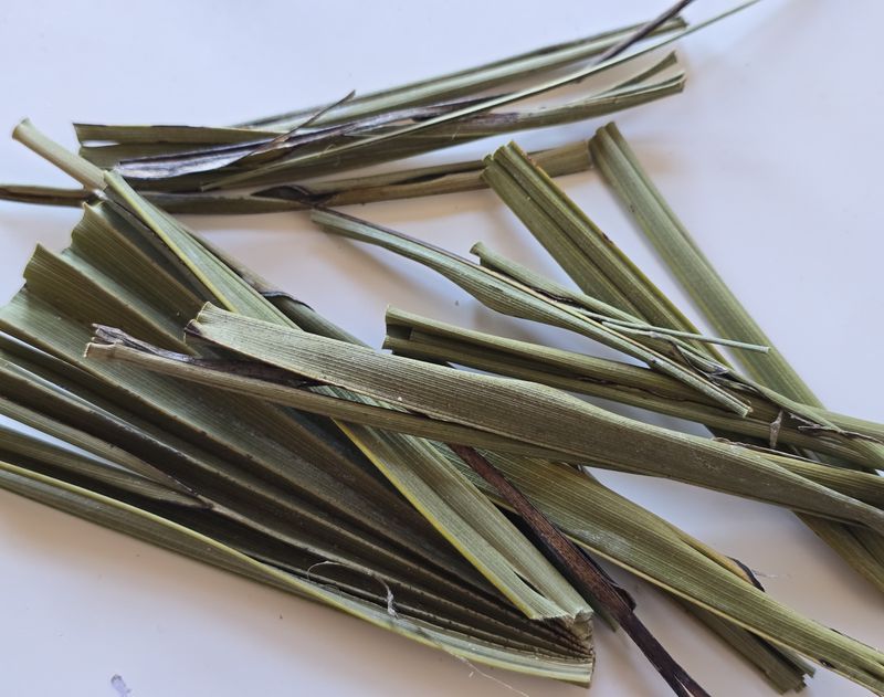 პალმის ფოთლები დაჭრილი