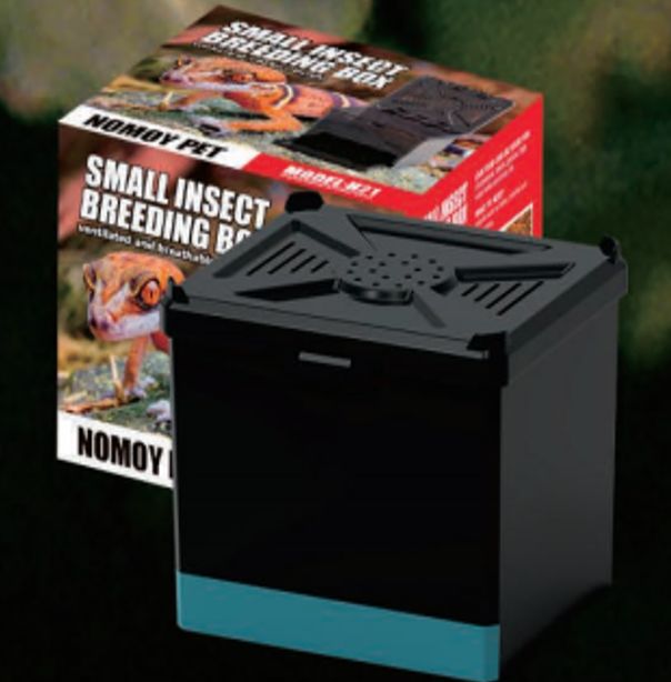 მწერების გასამრავლებელი კონტეინერი H21 - პატარა