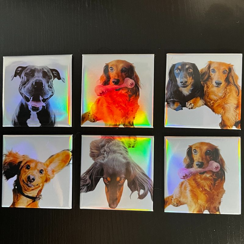 Holographic Pet - Premium 6 Magnet Set