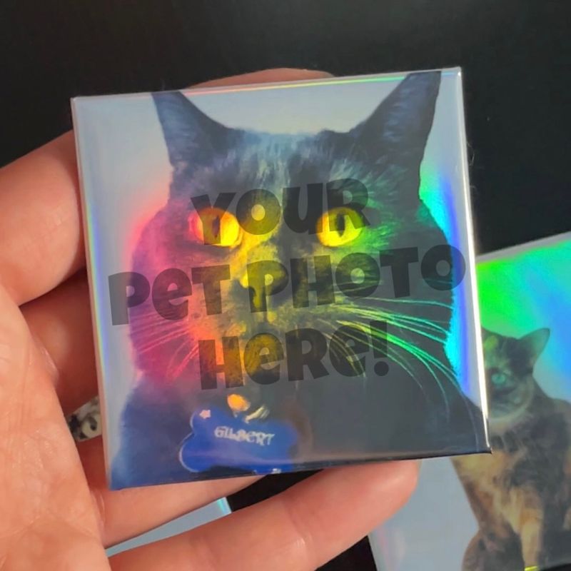 Holographic Pet - Premium 6 Magnet Set