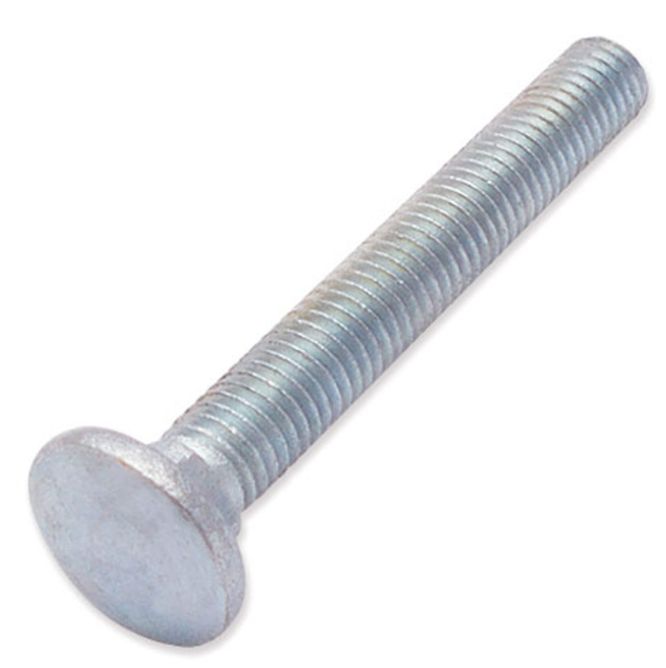 Coach Bolt - Stainless Steel - M8 x 65 - 316