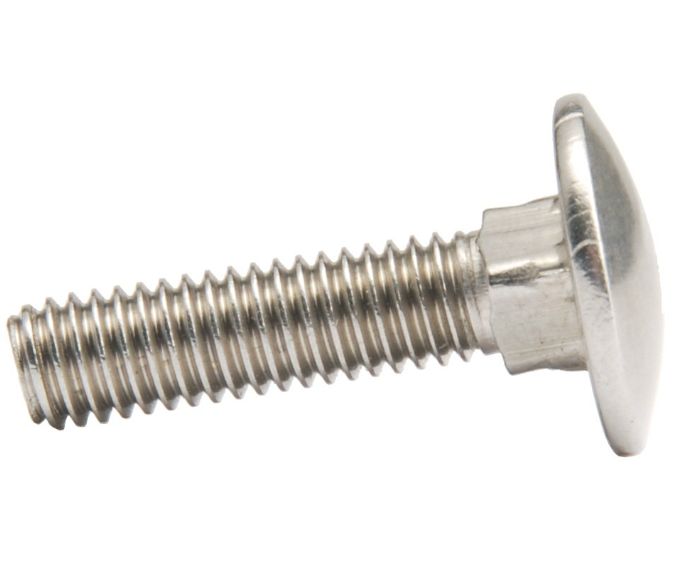 Coach Bolt - Stainless Steel -  M8 x 40 - 316