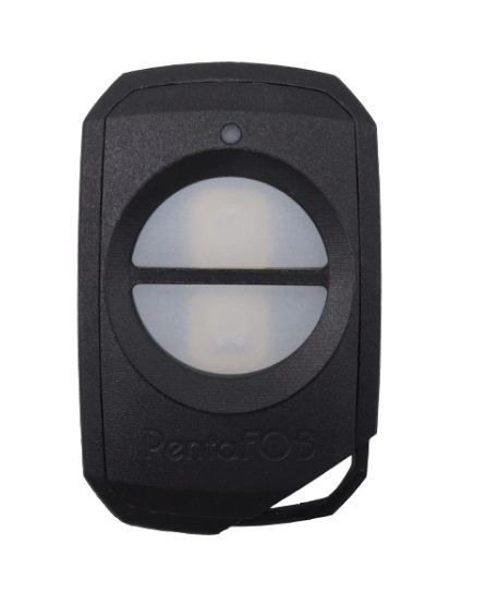 Elsema- Pentafob - 2 Button Remote
