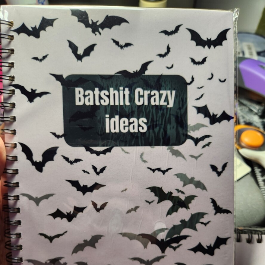 Batshit Crazy Ideas Notebook
