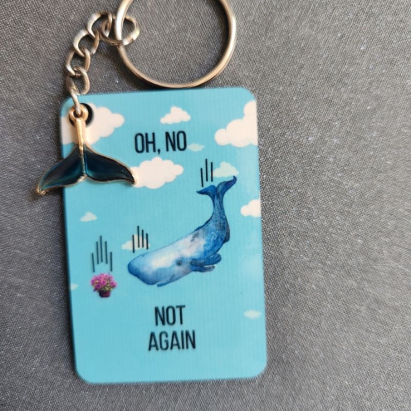 Oh no, not again Keychain