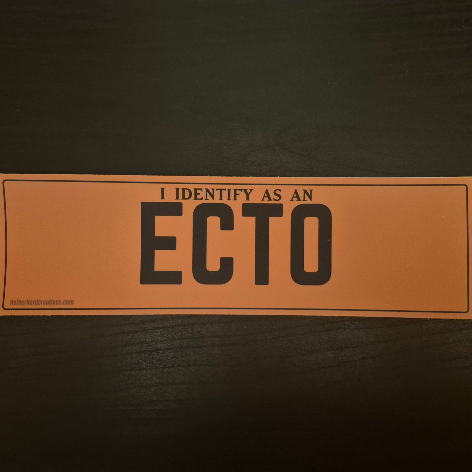 ECTO Mini Bumper Sticker