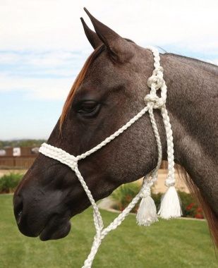 Pro Choice Cowboy Rope Halter with 10ft Lead