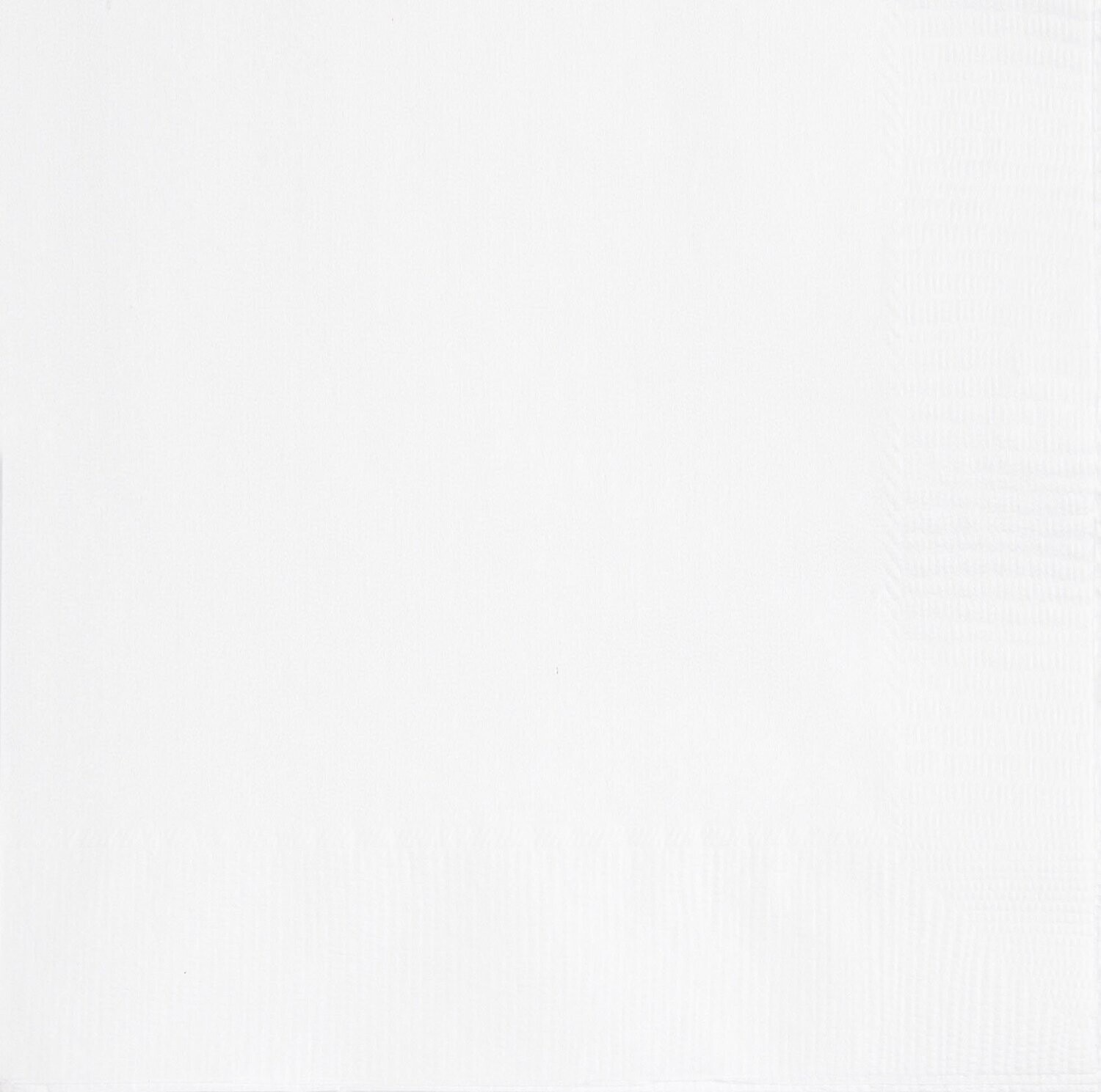 White Luncheon Napkins 50pk