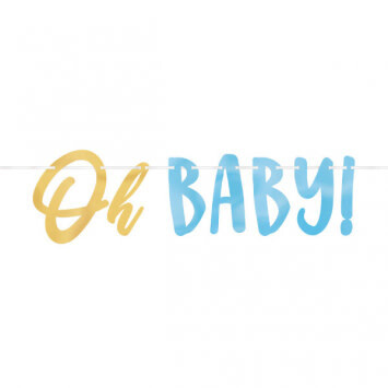 Oh Baby Blue Banner 12FT