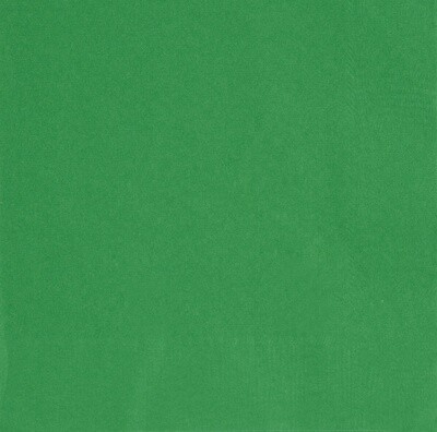 Emerald Green Luncheon Napkins 50ct