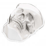 Skull Mold