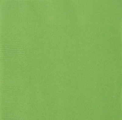 Lime Green Beverage Napkins 50ct Lime Green Beverage Napkins 50ct