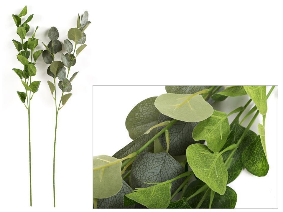 Artifical Eucalyptus Foliage Branch 28&quot;, 2 Assorted Colors