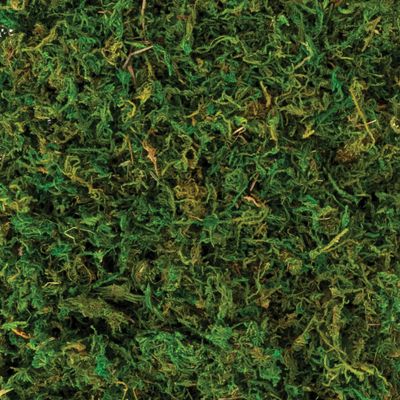 Natural Moss, 4.2 oz