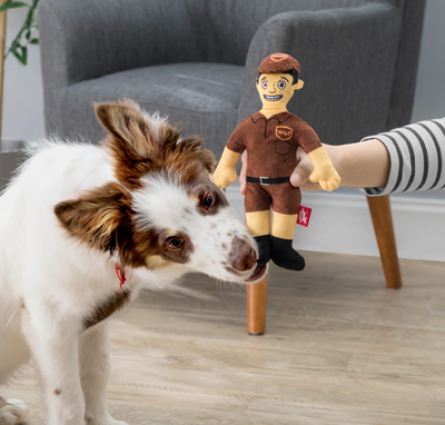 Dog Accessories