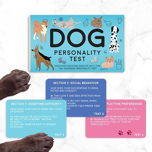 Pet - Dog: Pet Personality Test