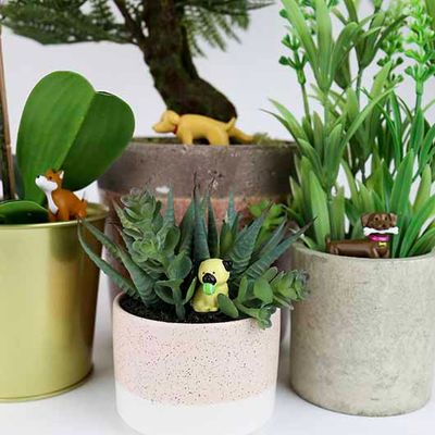 Plant Pot Markers - Adorable Dogs