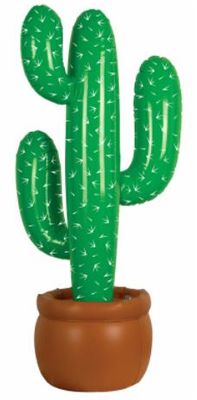 Inflatable Cactus