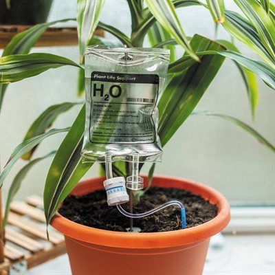 Plant Life Support - Self Watering Plant IV Bag