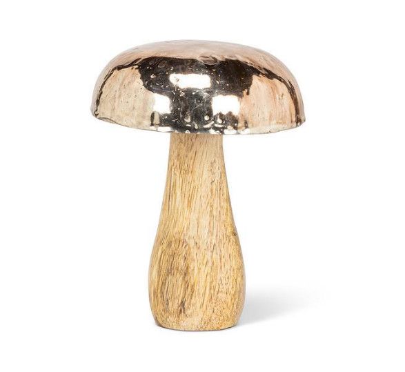 Small Mushroom with Silver Cap