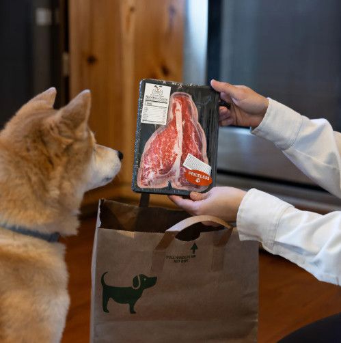 Steak 7&quot; Canvas Dog Toy