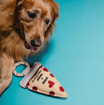 Pizza My Heart 13&quot; Canvas Dog Toy on Rope