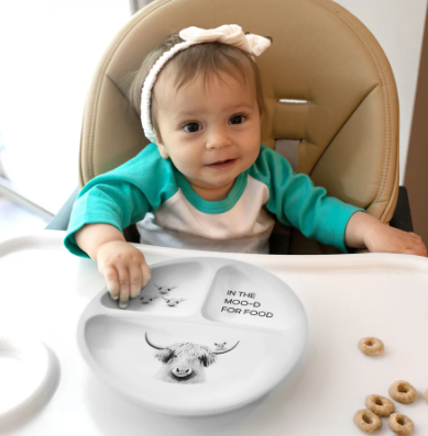 Moo’d Divided Silicone Suction Plate