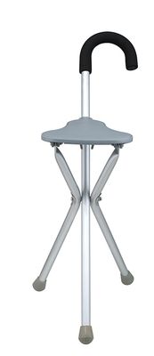 Walking stick with seat