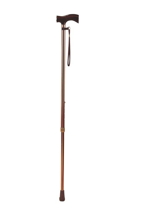 Walking stick