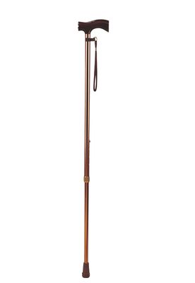 Walking stick
