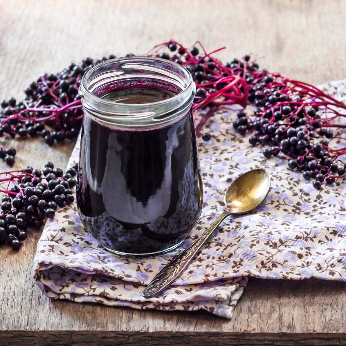 Organic Elderberry Syrup Kit