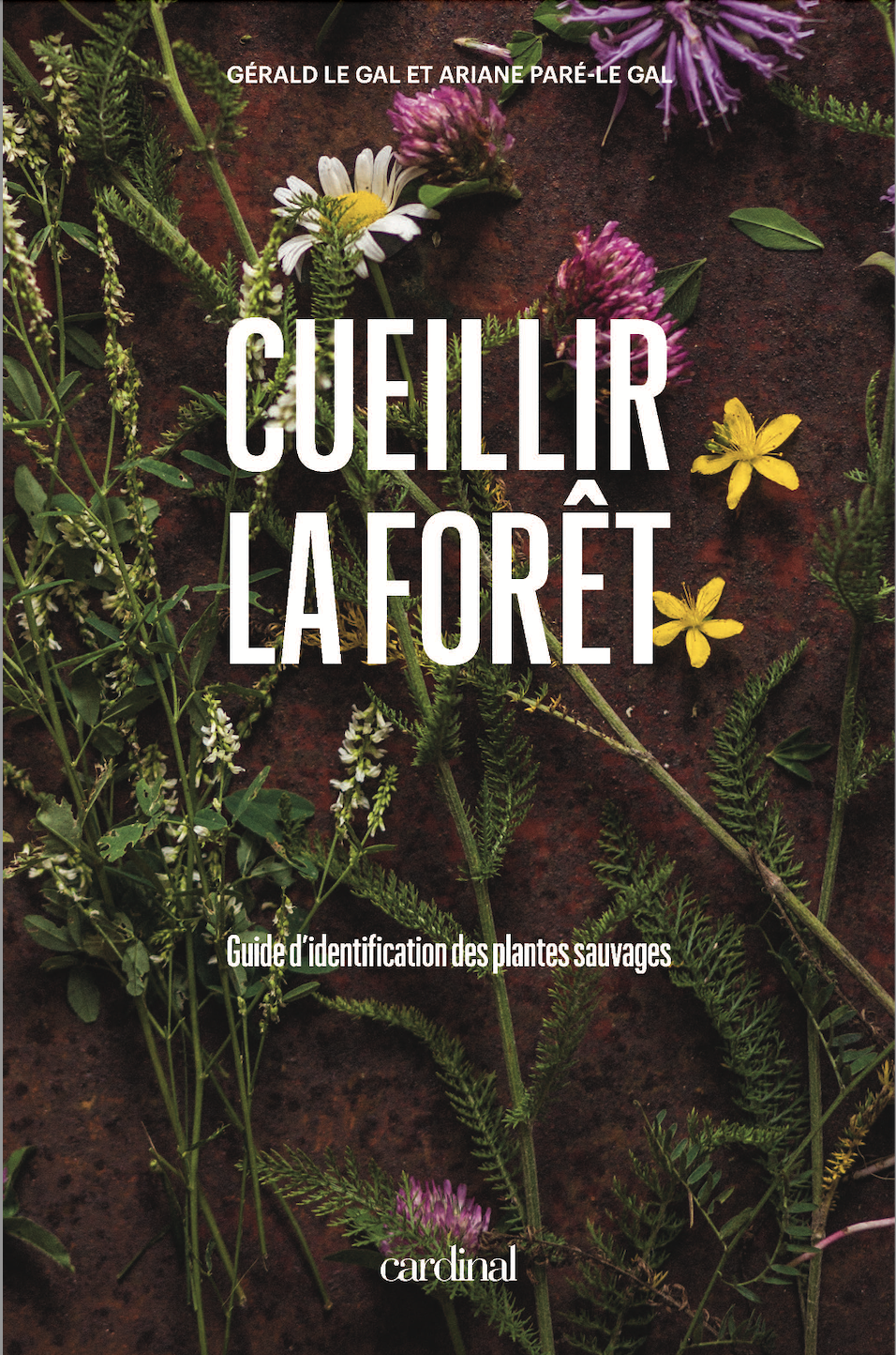 Cueillir la Forêt Gourmet Sauvage